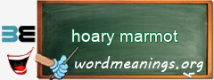WordMeaning blackboard for hoary marmot